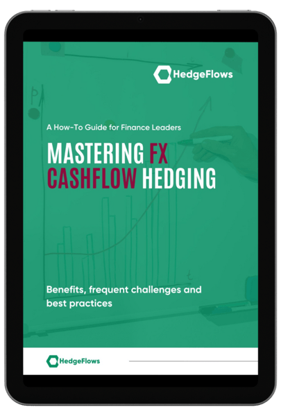 Cashflow hedging guide